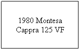 Text Box: 1980 Montesa Cappra 125 VF
